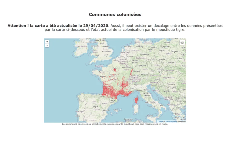 signalement moustique ANSES
